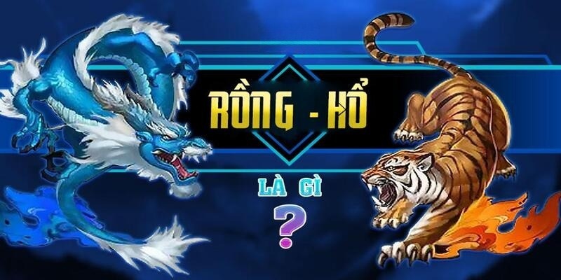 Giới thiệu Rồng Hổ 888B