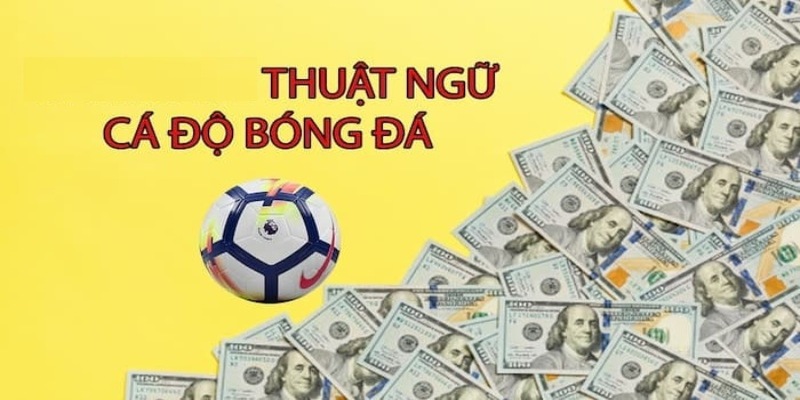 Thuật ngữ cá cược bóng đá 888B